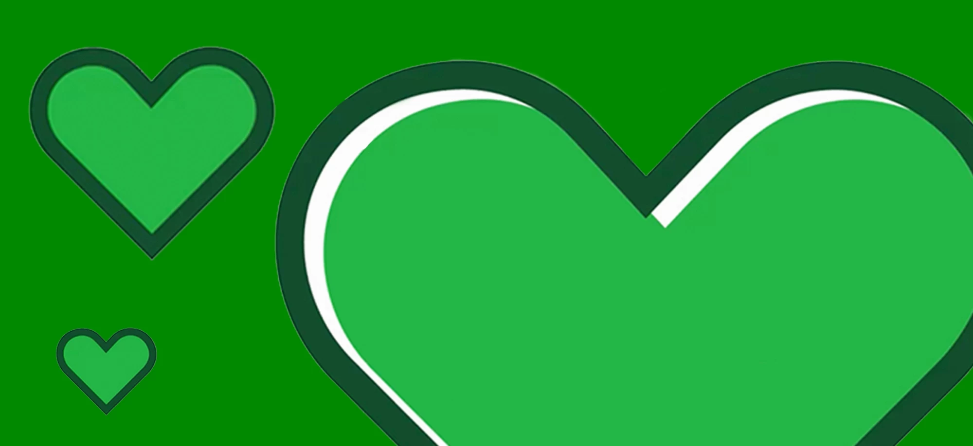 portfolio cover image